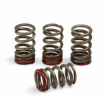 2022-2023 CRF250 Intake Cam Spring Kit